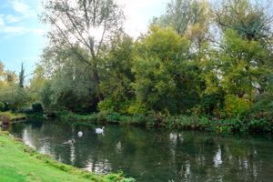 Bearwater Lake- click for photo gallery